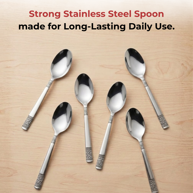 Vinod Moscow stainless steel dessert spoon set of 12, product view 12