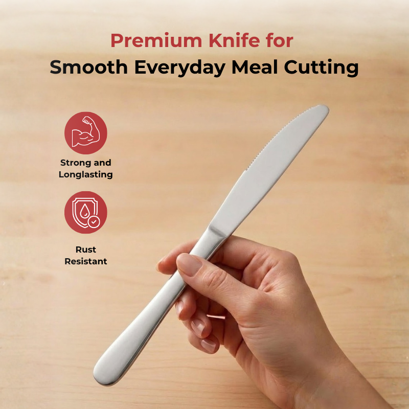 Vinod Decora stainless steel dinner knife set of 6, close-up detail