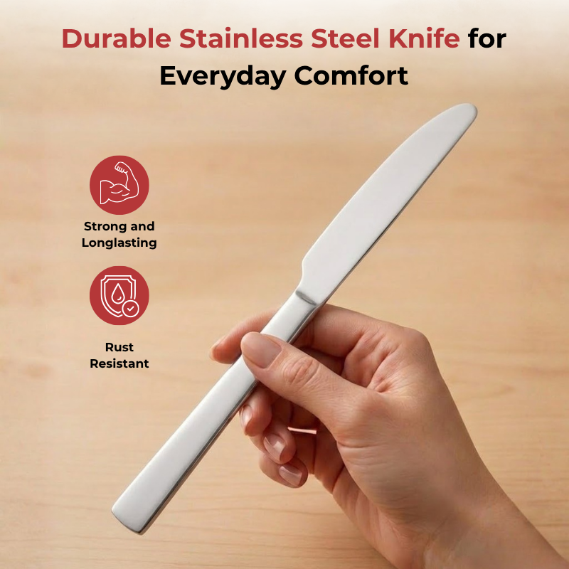 Vinod Aero stainless steel dinner knife set of 6, close-up detail