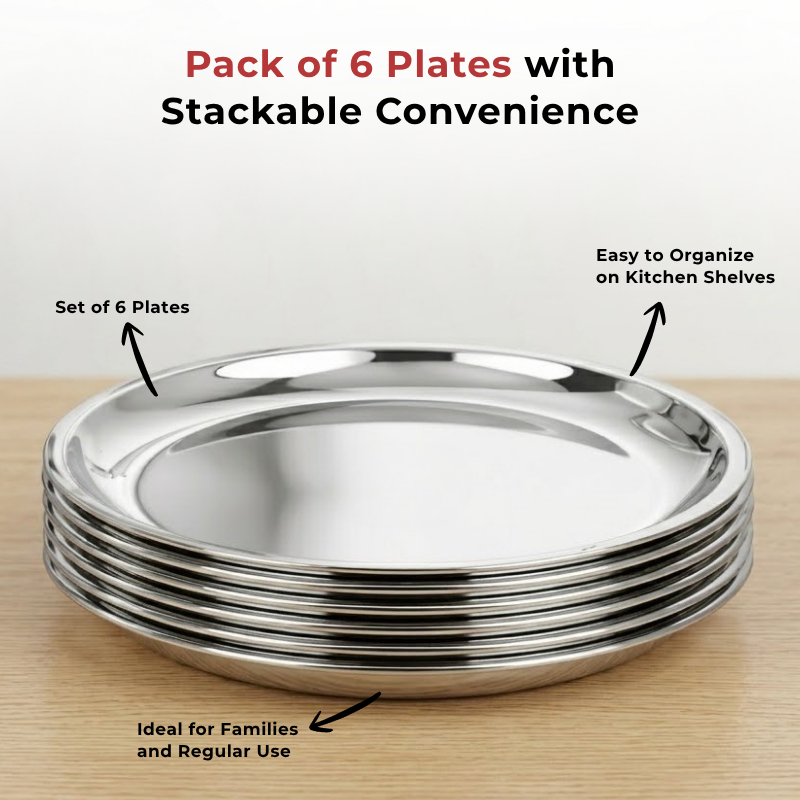 VINOD Stainless Steel China Dish Set of 6 - 25 cm, Serving Dish, Salad Plate, Snack Plate, Highest Quality Stainless Steel, Mirror Finish, Rust Free
