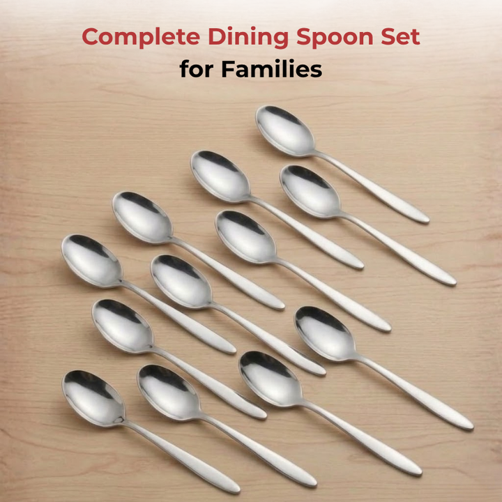 VINOD Florence Stainless Steel Dessert Spoon Set of 12-Piece, Heavy Gauge Steel, Mirror Finish, Rust Free, Tough Strong & Durable