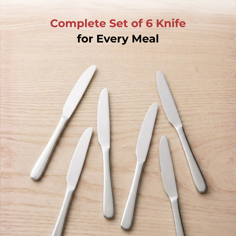 Vinod Florence stainless steel dinner knife set of 6, top view