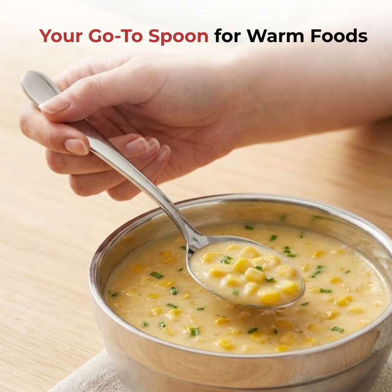 VINOD Decora Stainless Steel Dessert Spoon Set of 12-Piece, Heavy Gauge Steel, Mirror Finish, Rust Free, Tough Strong & Durable