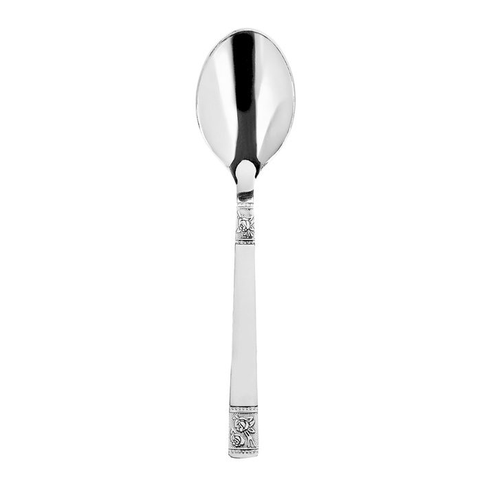 Vinod Moscow 12 piece stainless steel baby spoon set