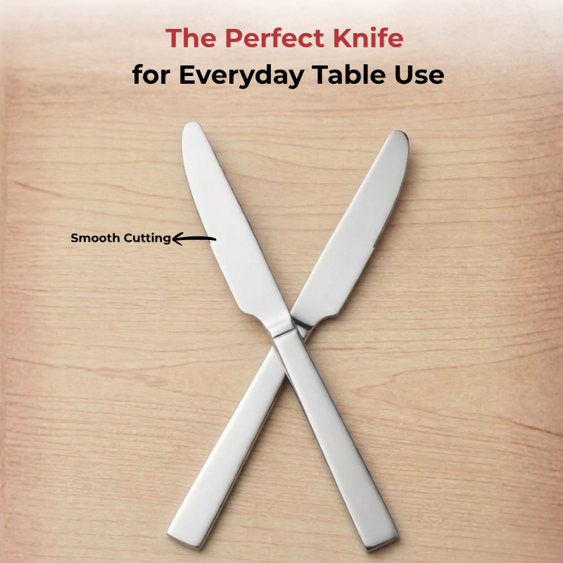 Vinod Aero stainless steel dinner knife set of 6, product view 10