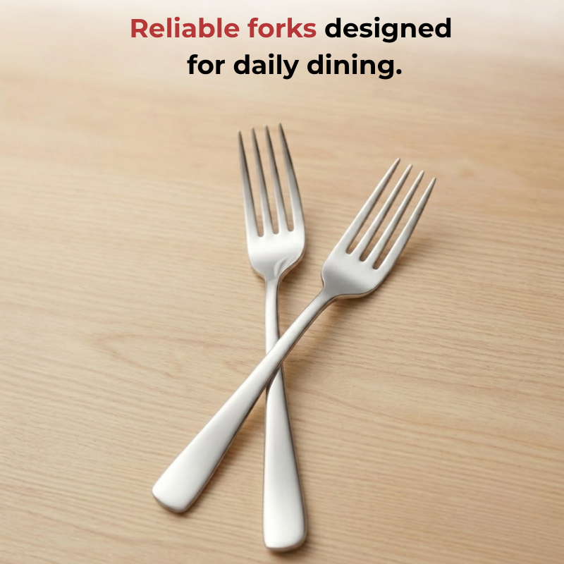 Vinod Aero stainless steel dinner fork set of 12, product view 11